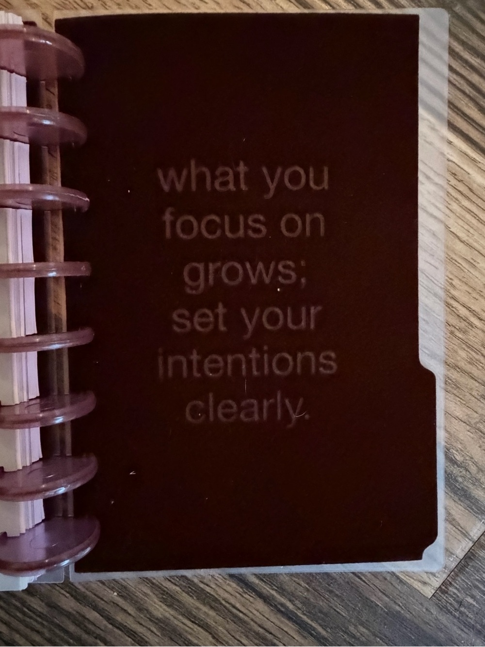 Cloth & Paper Disc Planner Project Habit Tracker Burgundy Minimalist - Picture 15 of 16